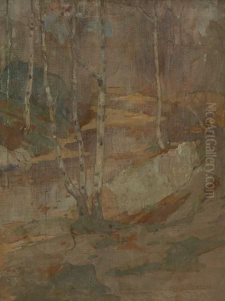 Silver Birches - view 1