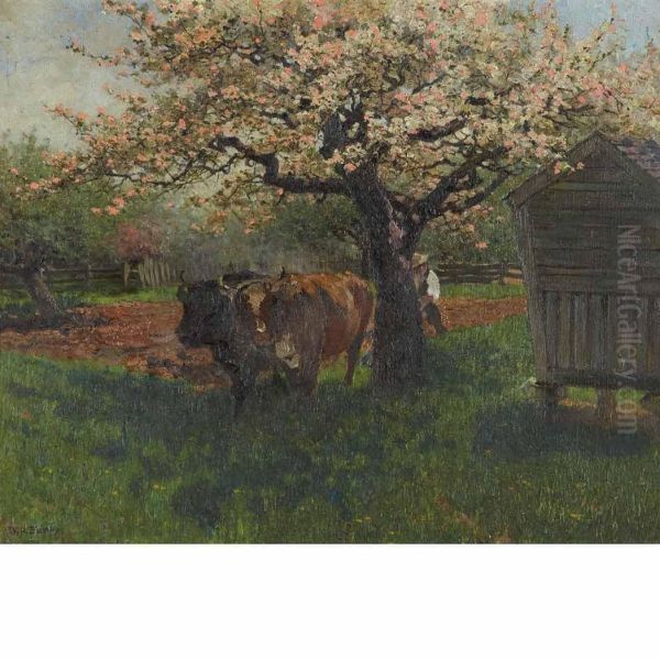 Cows - view 1