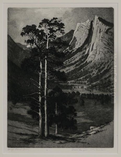 Black Canyon - view 1