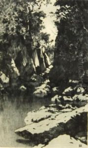The Fairy Glen, Bettws-y-coed, North Wales The Fairy Glen, Bettws-y-coed, North Wales