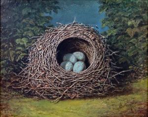 A Bird's Nest by James Burras
