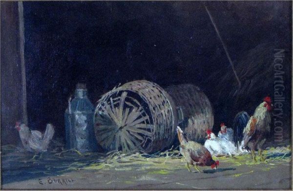 Hens And Rooster - view 1