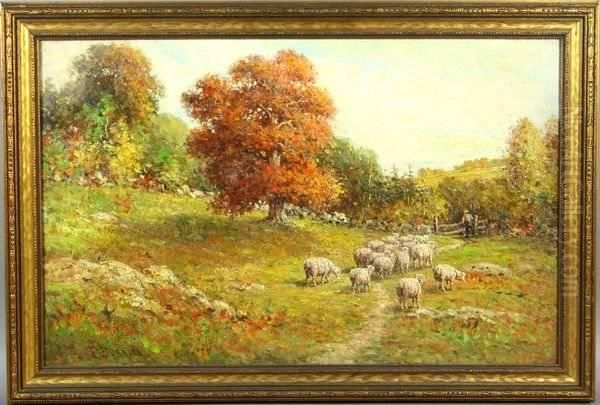 Sheep In A Pasture - view 1