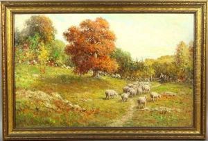 Sheep In A Pasture