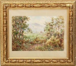 View Through The Forest by Arthur Alfred Burrington