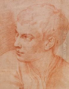 Testa Di Ragazzo by Gian Antonio Burrini