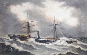 S. S. African. by A. Leicester Burroughs