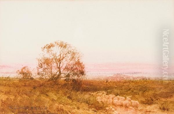 Stoke To Ipswich - view 1