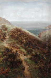 View Of The Devonshire Coast Near Clovelly by Charles Thomas Burt