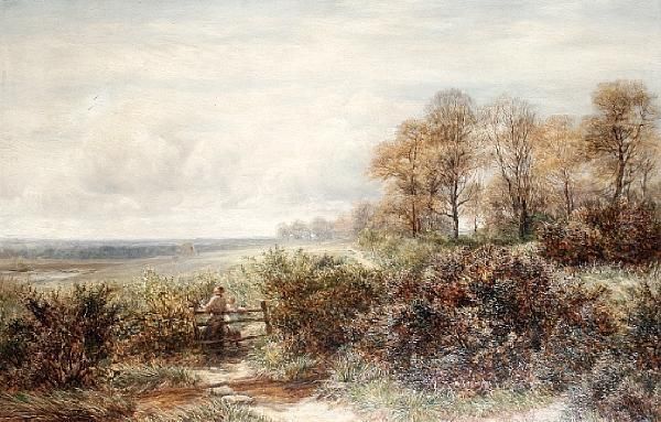Tom Knocker's Wood - view 1