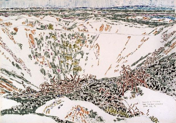 The Twins Crater, Vimy Ridge - view 1