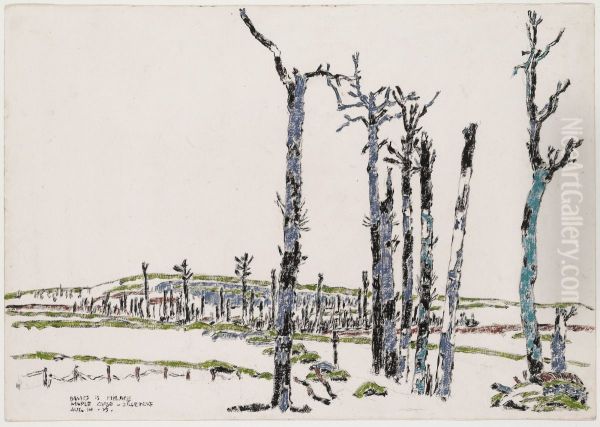 Maple Copse and Observatory Ridge from Dormy House - view 1