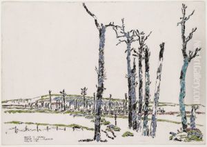Maple Copse and Observatory Ridge from Dormy House