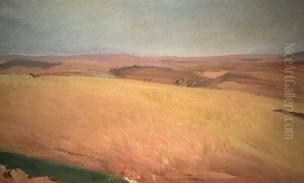 Campos de trigo, Castela - view 1