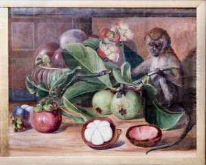 Flowers and Fruit of the Mangosteen, and a Singapore Monkey by Marianne North