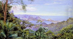 View of the Bay of Rio and the Sugar-Loaf Mountain, Brazil
