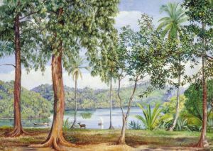 View from Kalutara, Ceylon