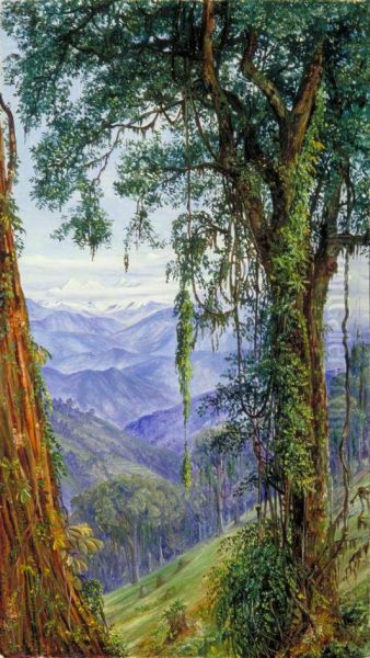 View from Rungaroon near Darjeeling, India - view 1