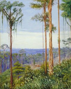 View of Matang, Sarawak, Borneo