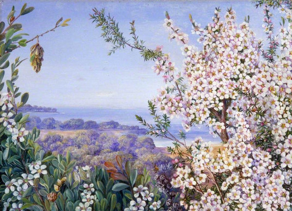 View near Brighton, Victoria - view 1