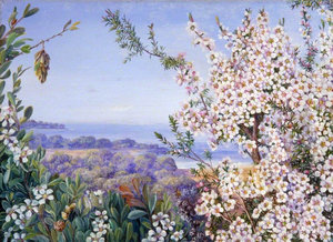 View near Brighton, Victoria View near Brighton, Victoria