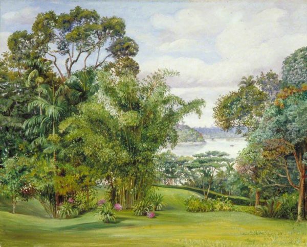 View of the River from the Rajah's Garden, Sarawak, Borneo - view 1