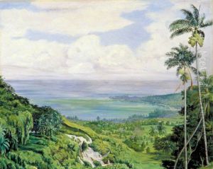 View over Ochos Rios, Jamaica by Marianne North
