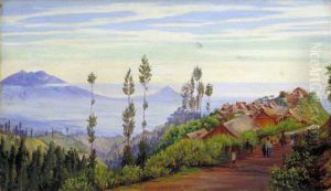 View of the Village of Tosari, Java