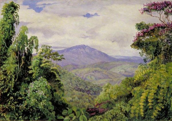 View of the Piedade Mountains from Congo, Brazil - view 1