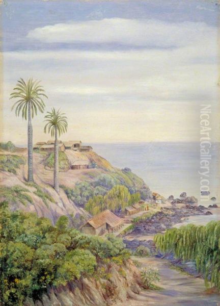 View of Concon, Chili, with Its Two Palms - view 1