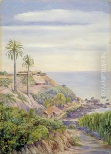 View of Concon, Chili, with Its Two Palms