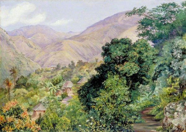 Distant View of Newcastle, Jamaica - view 1
