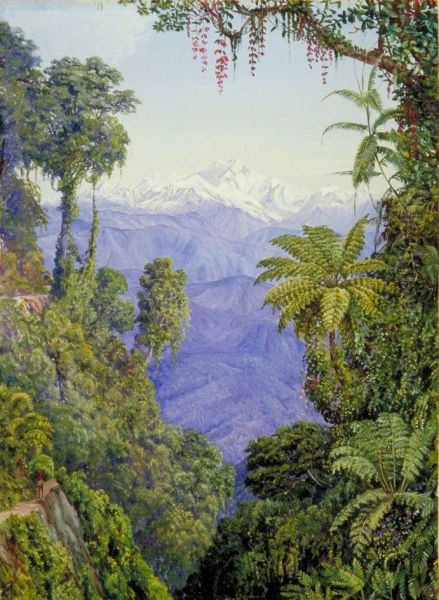 Distant View of Kinchinjunga from Darjeeling - view 1