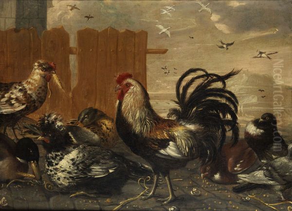 Cock in the Yard - view 1