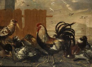Cock in the Yard