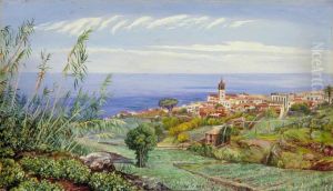 View of Icod, Teneriffe