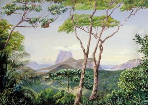View of the Sugarloaf Mountain from the Aqueduct Road, Rio Janeiro by Marianne North