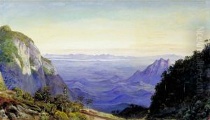 View from the Sierra of Petropolis, Brazil
