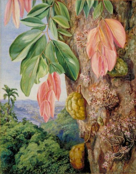 View in Singapore with Nyum-Nyum Tree - view 1