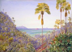 Coco de Mer Gorge in Praslin, Seychelles, with Distant View of Mahe Silhouette and the Cousins by Marianne North