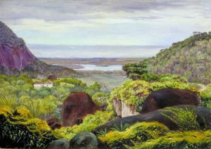 View near Tijuca, Brazil, Granite Boulders in the Foreground by Marianne North