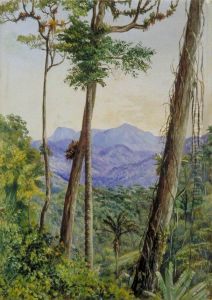 View from Mr Weilhorn's House, Petropolis, Brazil View from Mr Weilhorn's House, Petropolis, Brazil