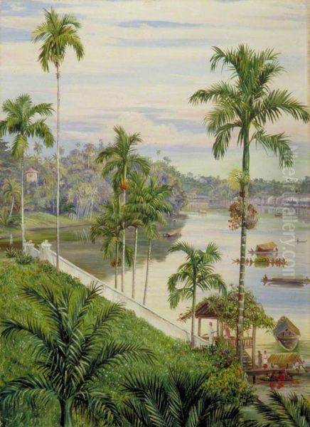 View down the River at Sarawak, Borneo - view 1