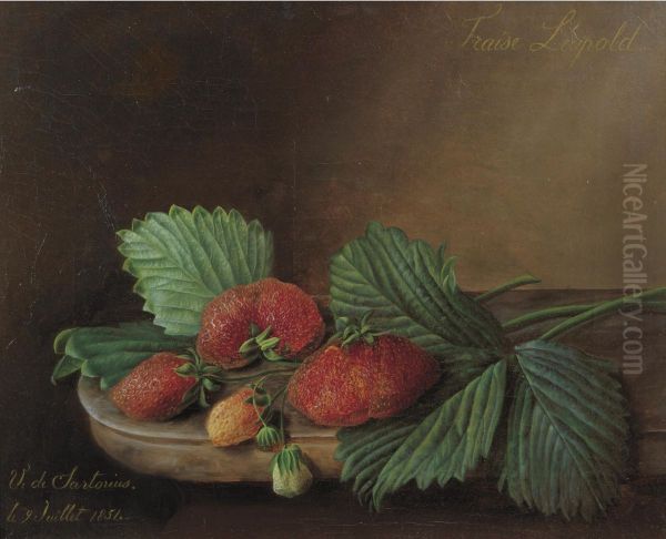 Strawberries on a Ledge - view 1