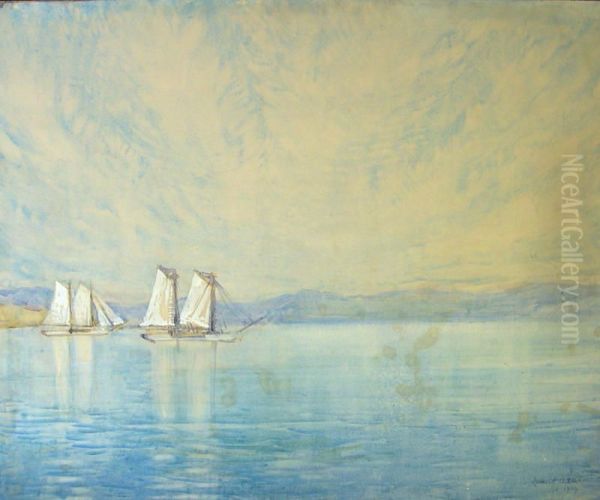 Scows in Wellington Harbour - view 1