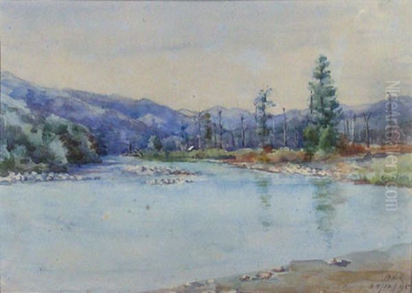 Matakitaki River, Nelson - view 1