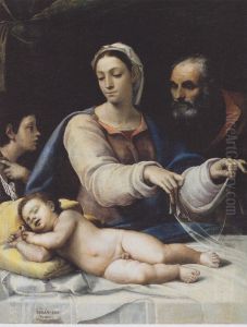Die Madonna mit dem Schleier by Sebastiano Del Piombo