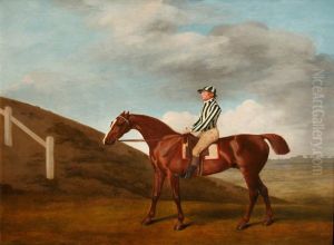 'Pumpkin' by George Stubbs