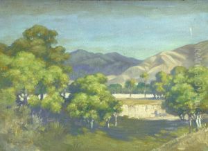 The Quarry by Vivian Smith