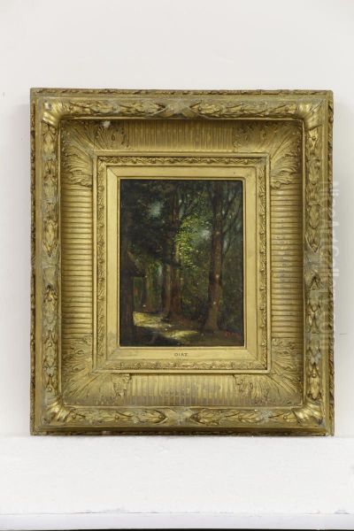 Forest Scene - view 1